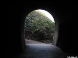 El Tunel de Guajataca             - ISABELA
